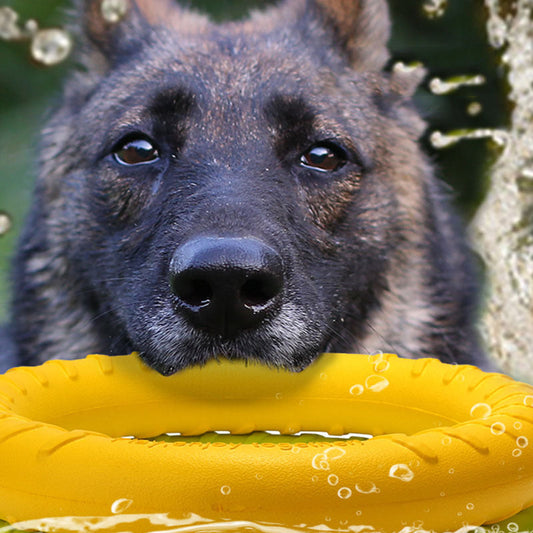 Durable Dog Training Pull Ring Toy – Floating Interactive Tug Toy for Active Dogs CJ