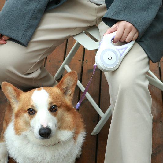 Retractable Dog Leash with One-Button Brake | Automatic Telescopic Pet Leash for Small to Large Dogs CJ