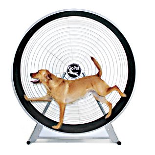 GoPet TreadWheel For Large Dogs PetSafe