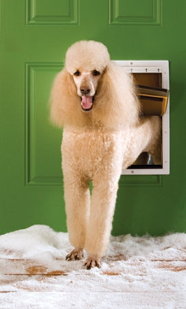 PetSafe Extreme Weather Pet Door - Large PetSafe