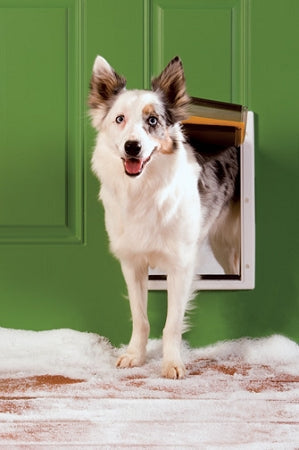 PetSafe Extreme Weather Plastic Frame Dog and Cat Door - Medium - PPA00-10985 PetSafe
