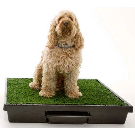 PetSafe Pet Loo Dog Potty Training System - Medium - PWM00-14498 PetsStop