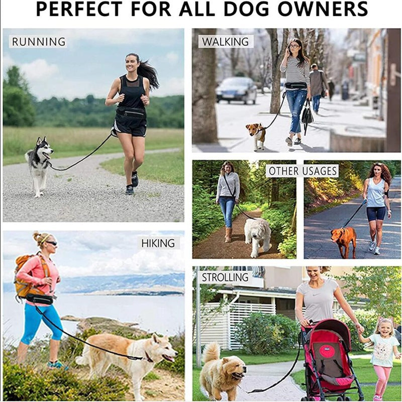 Hands-Free Dog Leash with Waist Belt – Shock Absorbing Bungee Leash for Large Dogs CJ