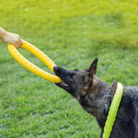 Durable Dog Training Pull Ring Toy – Floating Interactive Tug Toy for Active Dogs CJ