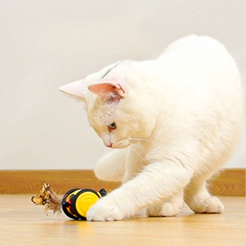 Electric Cat Car Toy – Self-Moving Cat Toy Bee with Feather Teaser CJ