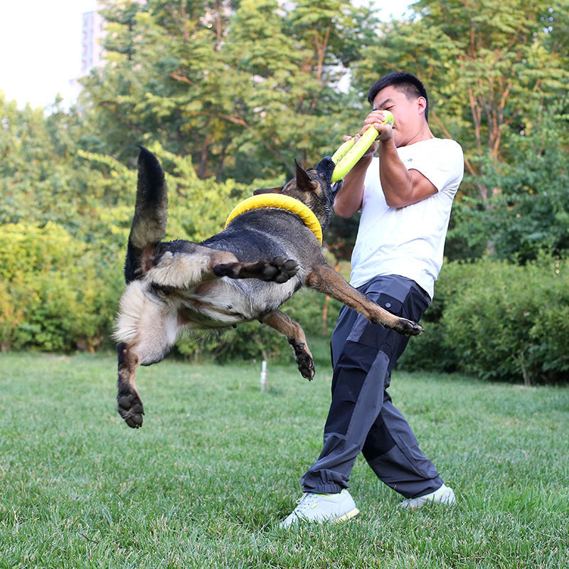 Durable Dog Training Pull Ring Toy – Floating Interactive Tug Toy for Active Dogs CJ