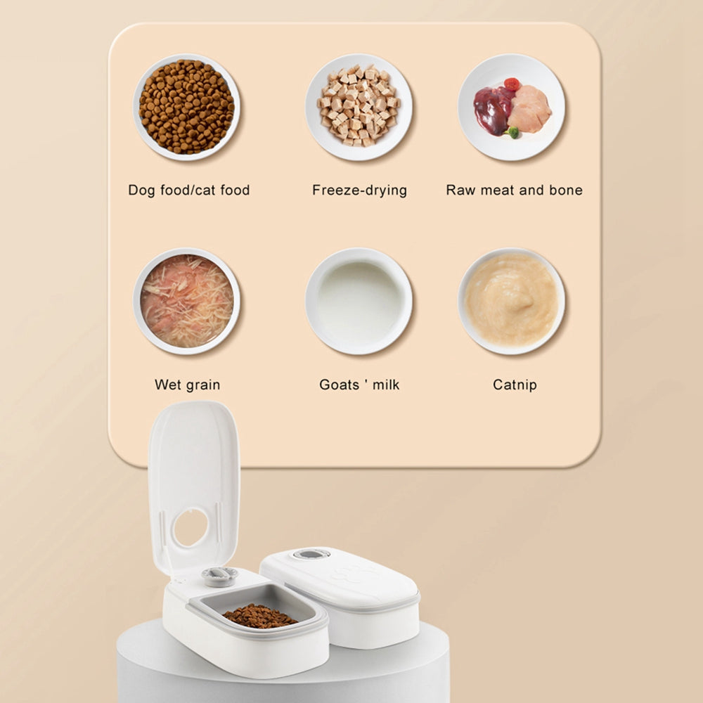 Automatic Pet Feeder & Water Dispenser – Gravity Smart Food Feeder with Stainless Steel Bowl CJ