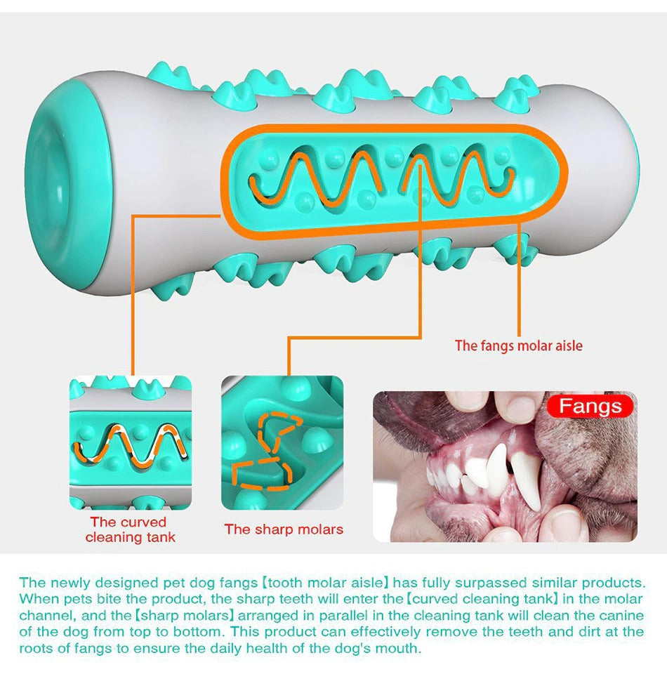 Dog Squeaky Toy for Aggressive Chewers – Nearly Indestructible Rubber Toothbrush Chew Toy CJ