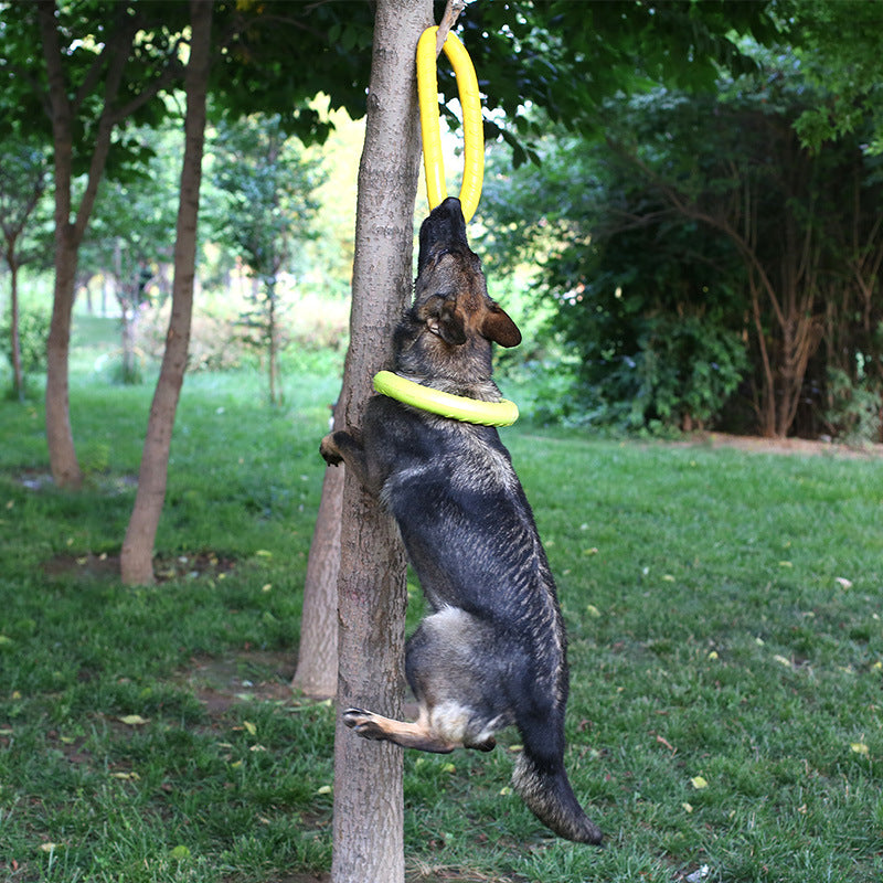 Durable Dog Training Pull Ring Toy – Floating Interactive Tug Toy for Active Dogs CJ