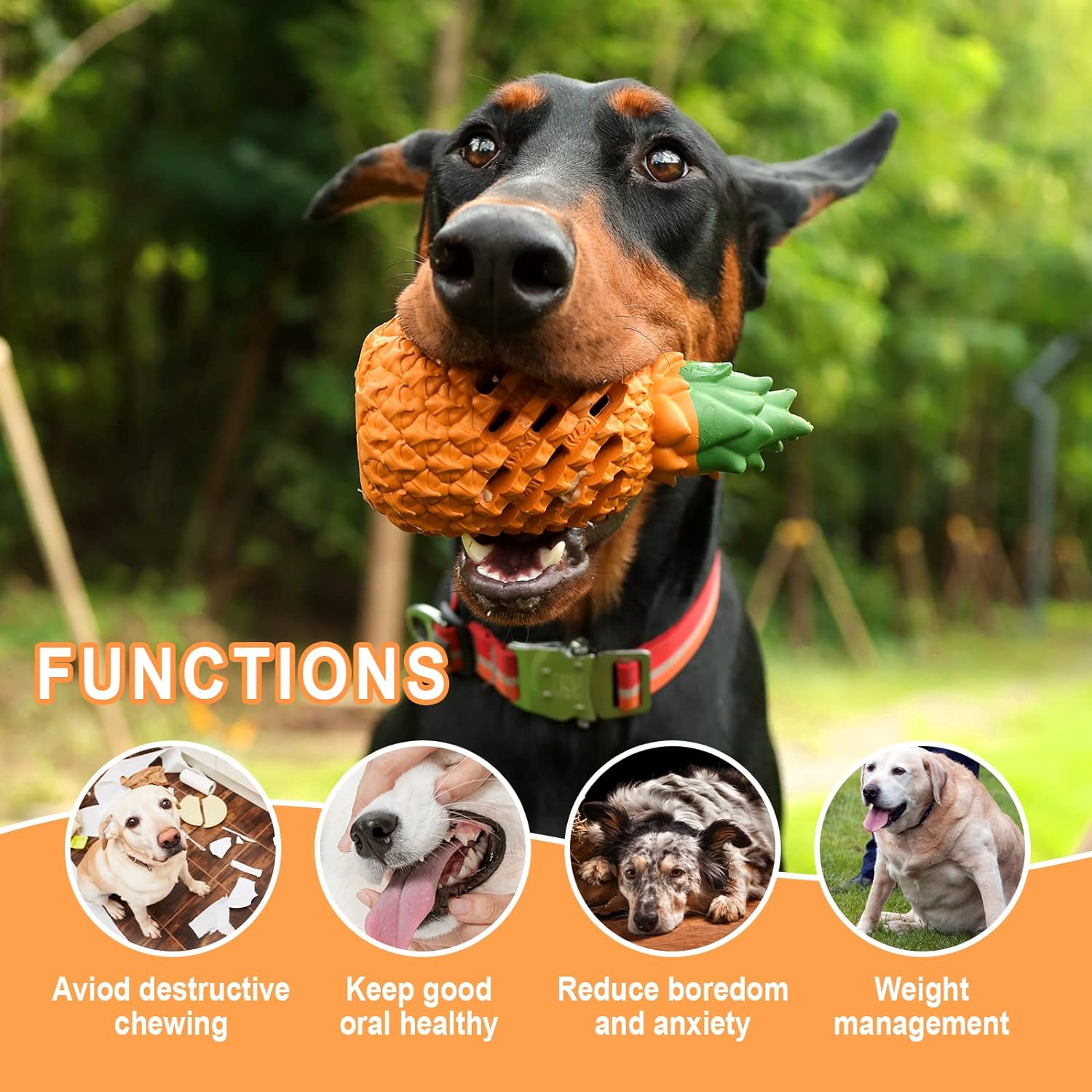 Pineapple Dog Chew Toy for Aggressive Chewers – Durable Natural Rubber Treat-Dispensing Toy CJ