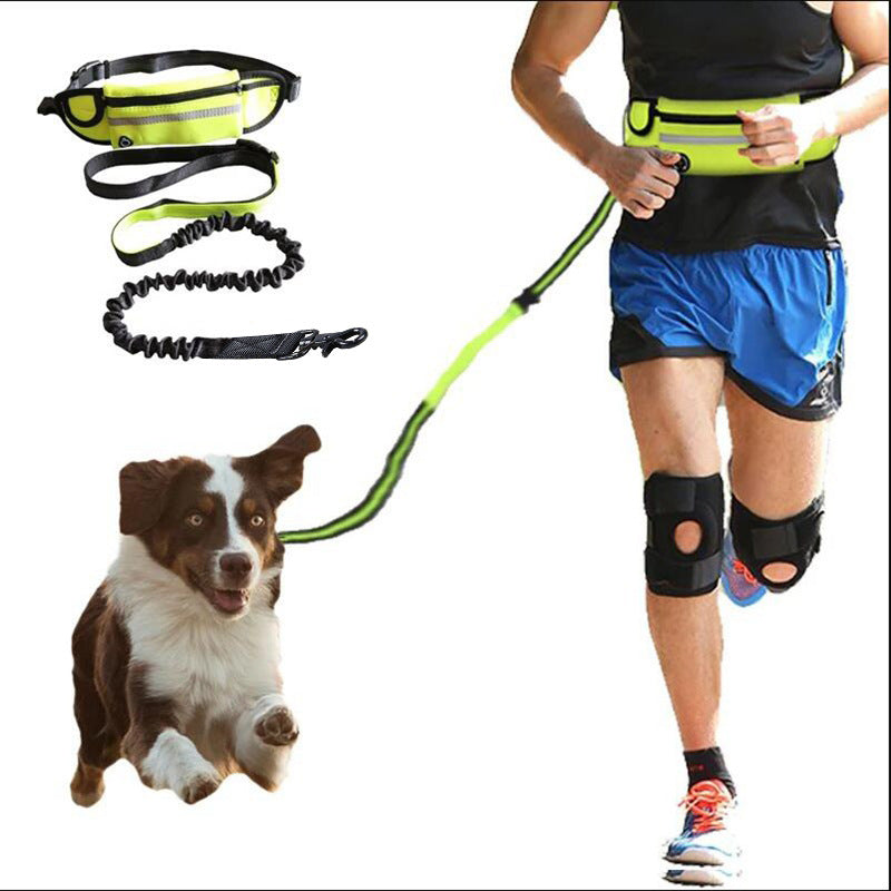 Hands-Free Dog Leash with Waist Belt – Shock Absorbing Bungee Leash for Large Dogs CJ