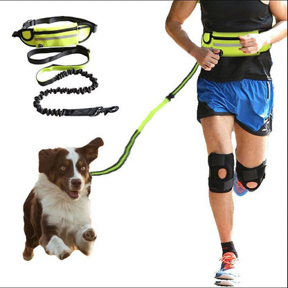 Hands-Free Dog Leash with Waist Belt – Shock Absorbing Bungee Leash for Large Dogs CJ