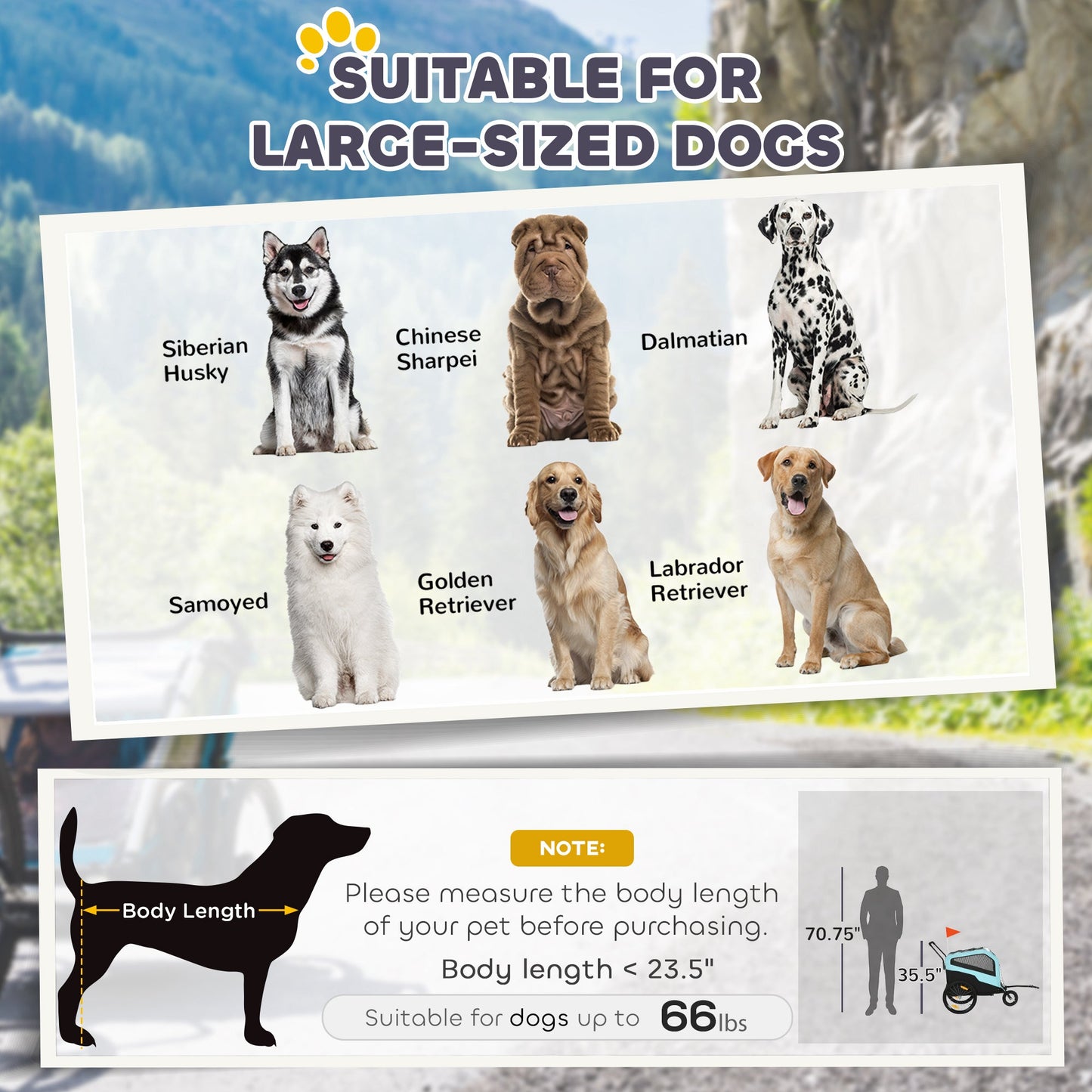 2-in-1 Dog Bike Trailer and Pet Stroller – Large Dog Carrier with Hitch, Weather Cover and Storage CJ