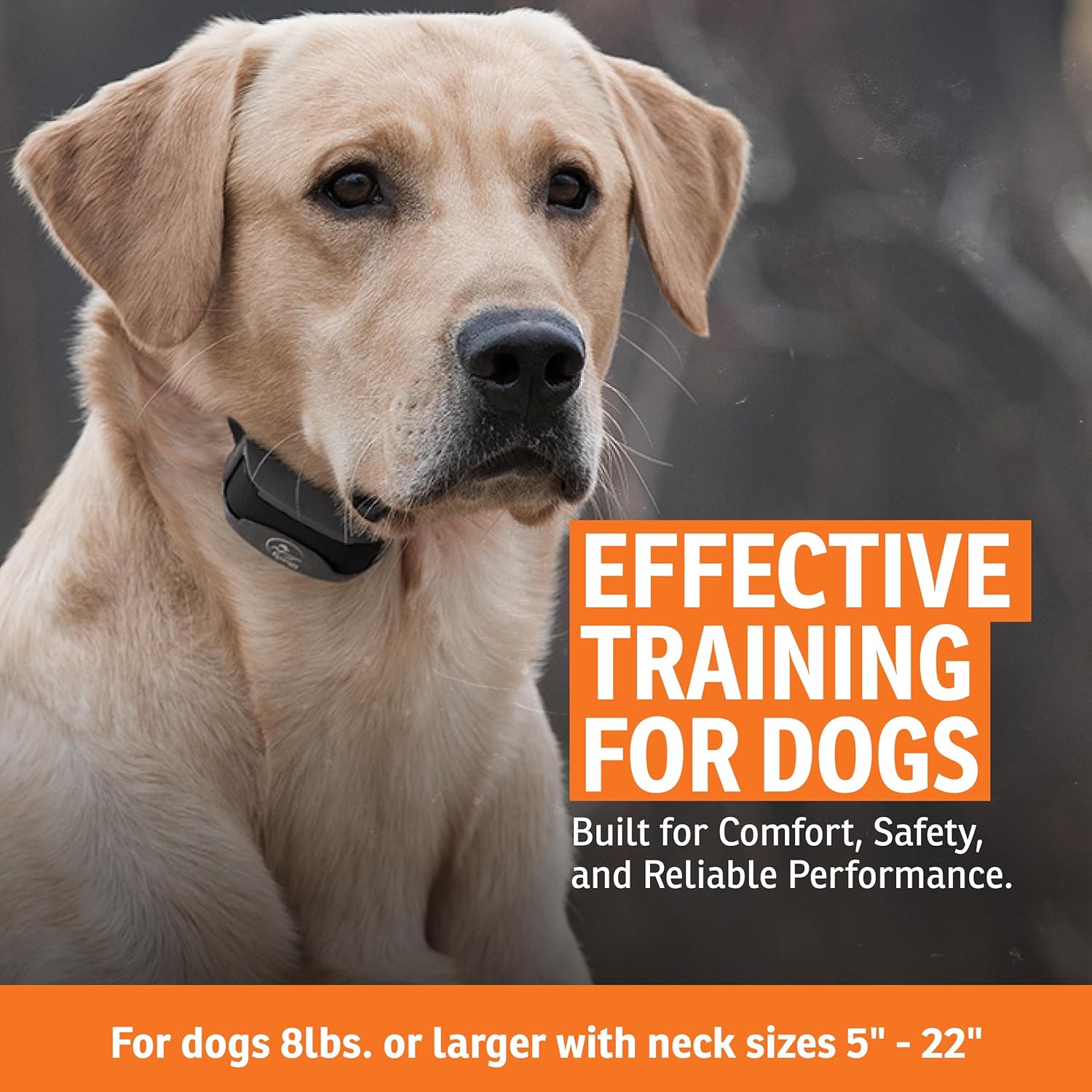 SportDOG E-Collar Sport Trainer Half Mile SportDog