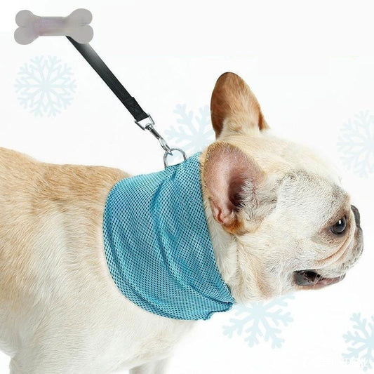 New Instant Cooling Pet Bandana Dog Scarf Summer Cooling Towel Wrap Dog Collar Lazy Lizzard Pet Supplies
