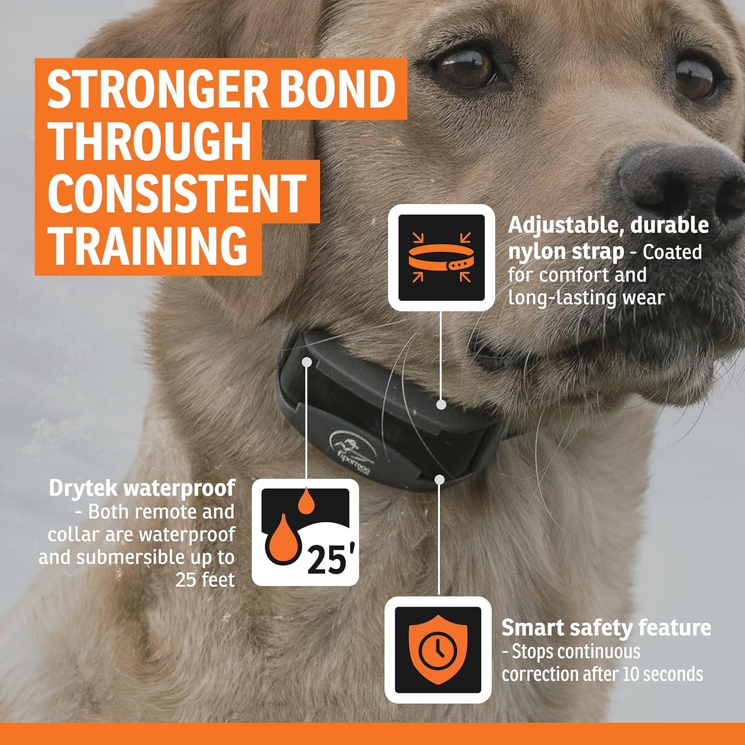 SportDOG E-Collar Sport Trainer Half Mile SportDog