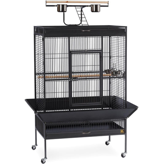 Select Wrought Iron Play Top Parrot Cage - Chalk White Prevue Pet Products