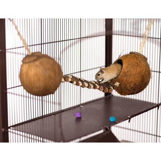 Prevue Pet Products Double Coconut with Ladder - 62818 Prevue Pet Products