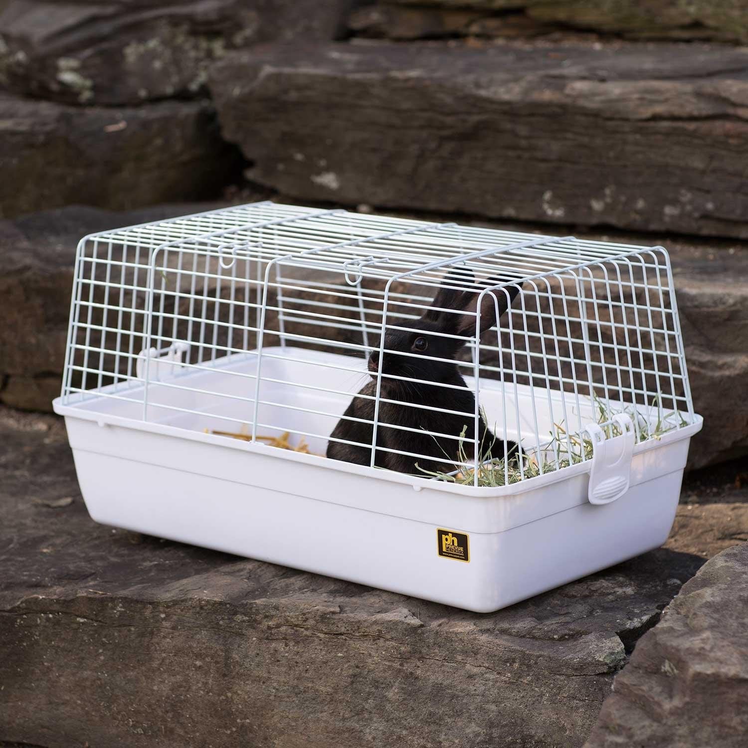 Prevue Pet Products Carina Small Animal Cage - White PetSafe