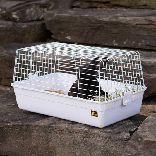 Prevue Pet Products Carina Small Animal Cage - White PetSafe