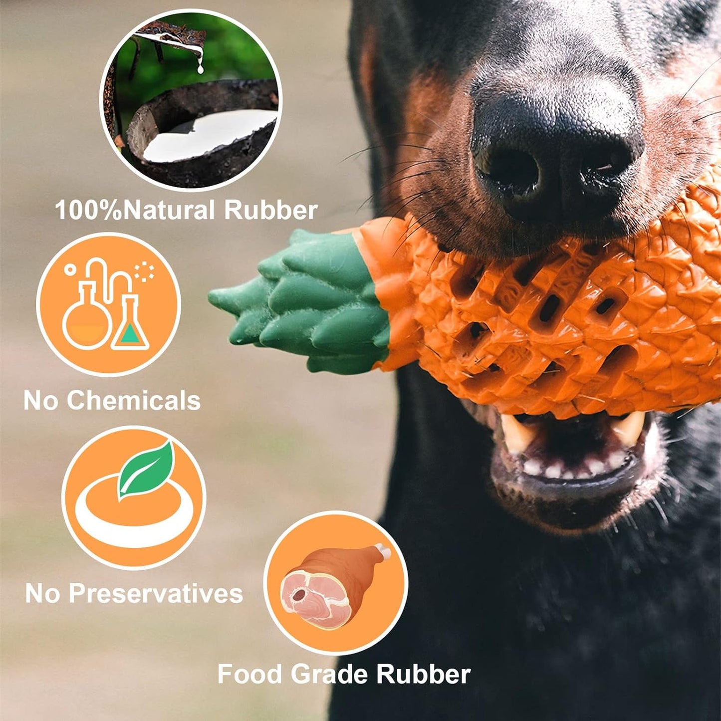 Pineapple Dog Chew Toy for Aggressive Chewers – Durable Natural Rubber Treat-Dispensing Toy CJ