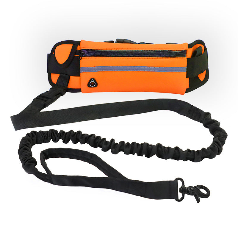 Hands-Free Dog Leash with Waist Belt – Shock Absorbing Bungee Leash for Large Dogs CJ