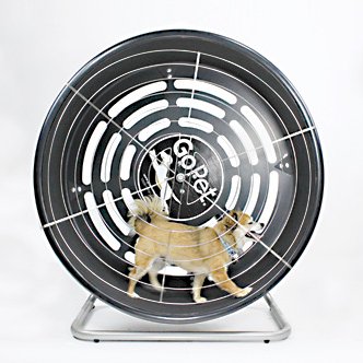 GoPet TreadWheel For Small Dogs PetSafe