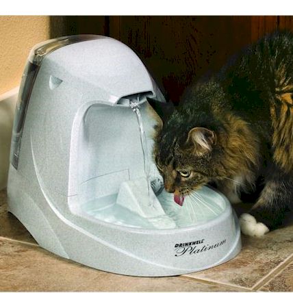 PetSafe Platinum Pet Fountain - PWW00-13703 PetsStop