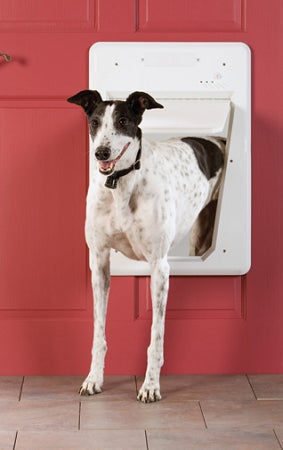 PetSafe Electronic Pet Door - Large - PPA11-10709 PetSafe