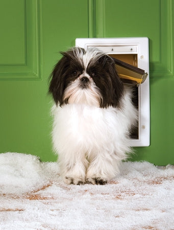 PetSafe Extreme Weather Plastic Frame Dog and Cat Door - Small - PPA00-10984 PetSafe