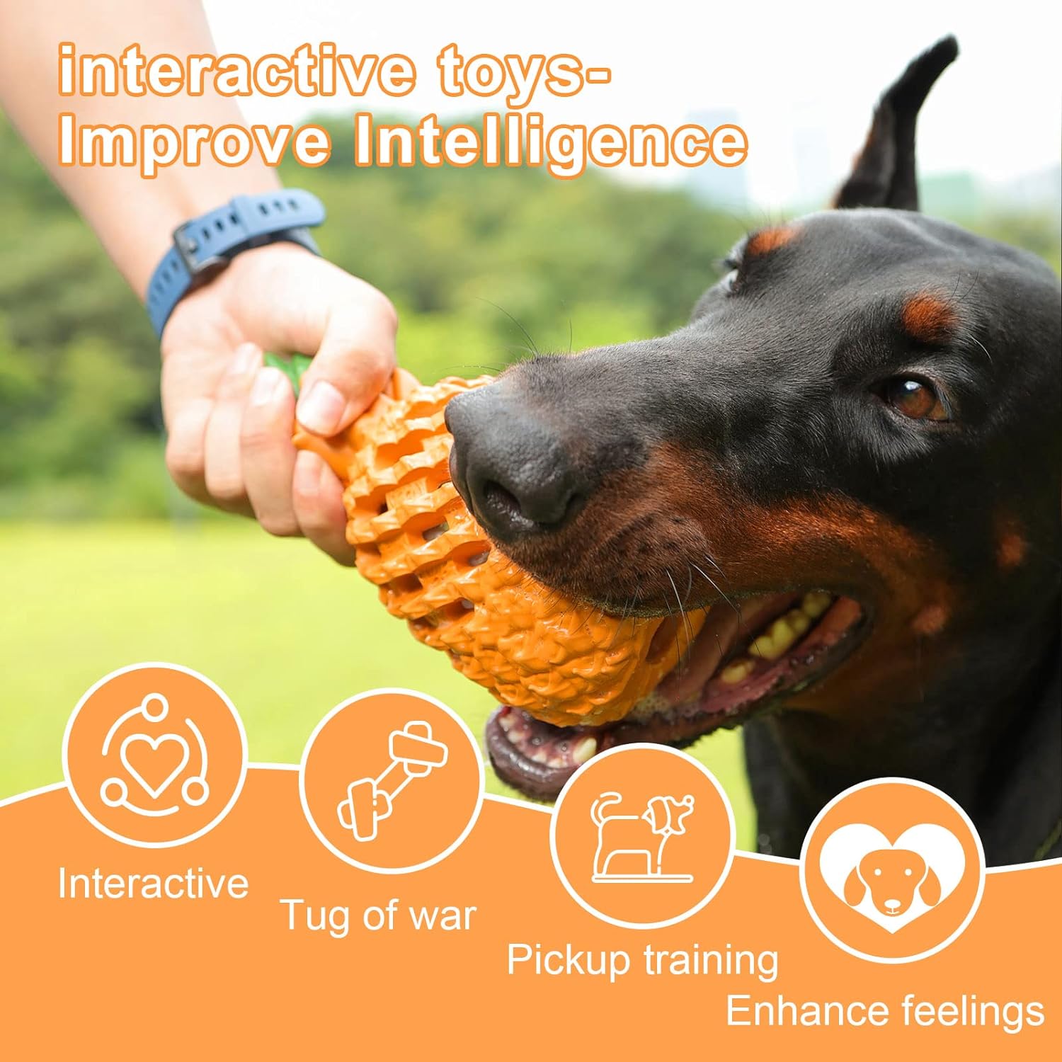 Pineapple Dog Chew Toy for Aggressive Chewers – Durable Natural Rubber Treat-Dispensing Toy CJ