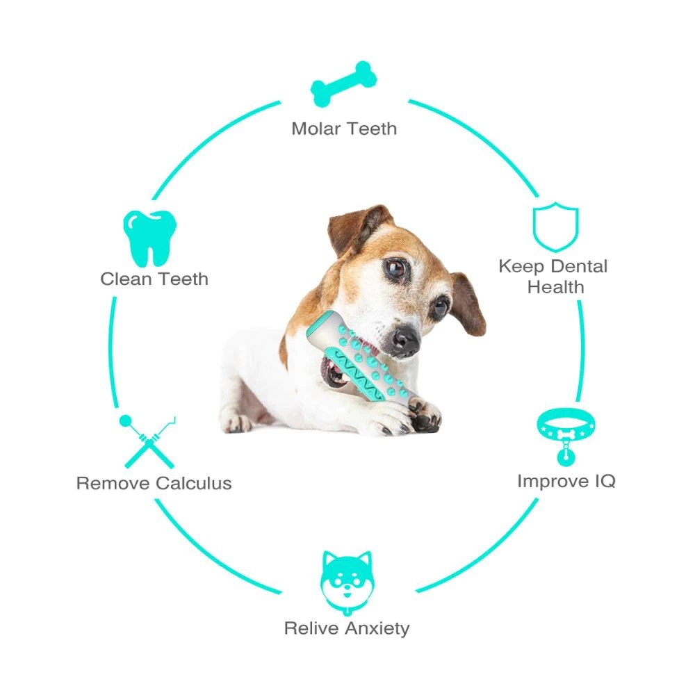 Dog Squeaky Toy for Aggressive Chewers – Nearly Indestructible Rubber Toothbrush Chew Toy CJ