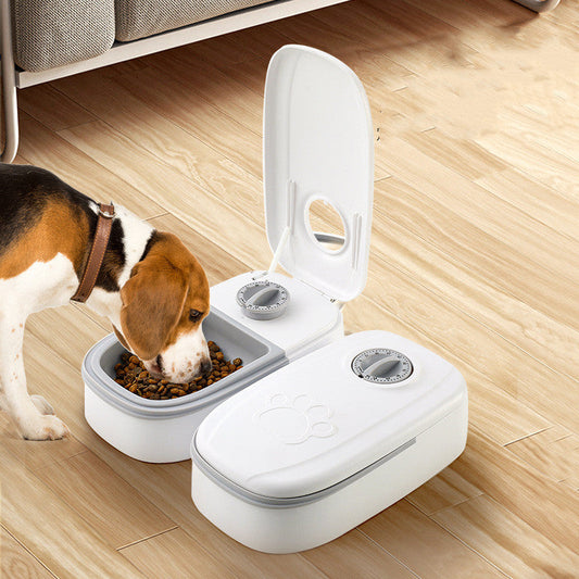 Automatic Pet Feeder & Water Dispenser – Gravity Smart Food Feeder with Stainless Steel Bowl CJ