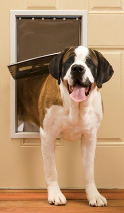 PetSafe Freedom Pet Door - Extra Large GoPet