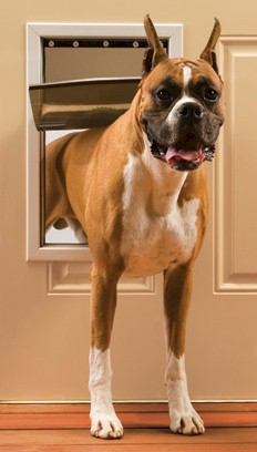 PetSafe Freedom Pet Door - Large GoPet