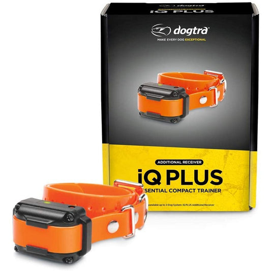 IQ Plus Additional Receiver Orange Strap PetSafe