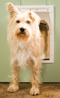 PetSafe Plastic Dog Door - Medium - PPA00-10959 PetSafe