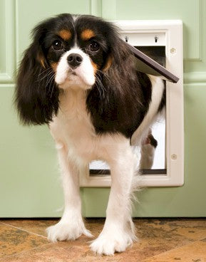 PetSafe Plastic Dog Door - Small - PPA00-10958 PetSafe