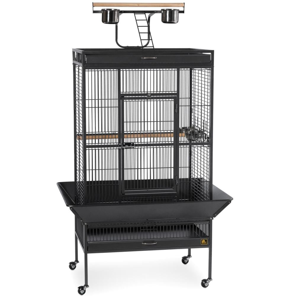 Large Select Wrought Iron Play Top Bird Cage - Black Prevue Pet Products
