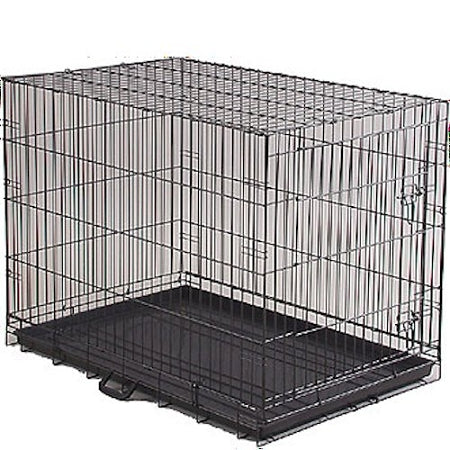 Economy Dog Crate - Small PetSafe