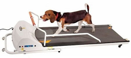 PetRun PR720F Dog Treadmill PetsStop