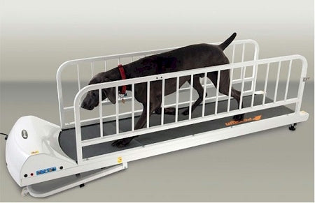 PetRun PR725 Dog Treadmill PetsStop