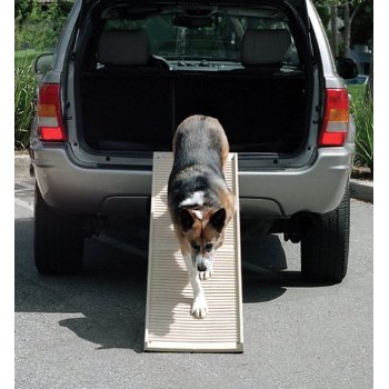 PetStep Folding Dog Ramp PetsStop