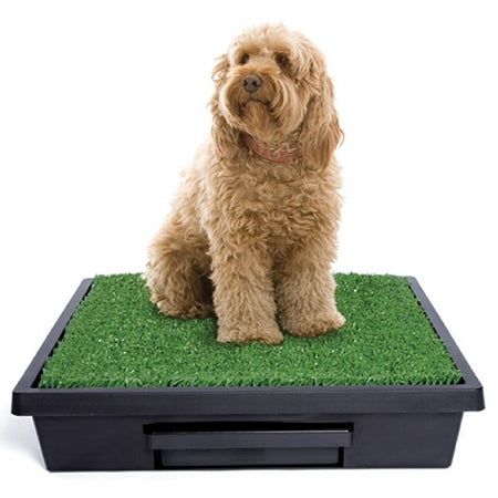 PetSafe Pet Loo Dog Potty Training System - Large - PWM00-14499 PetsStop